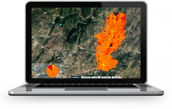 Quiron faz prevencao de incendios florestais